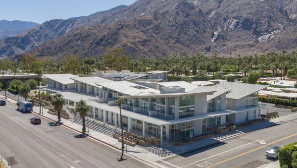 Aloe Palm Canyon