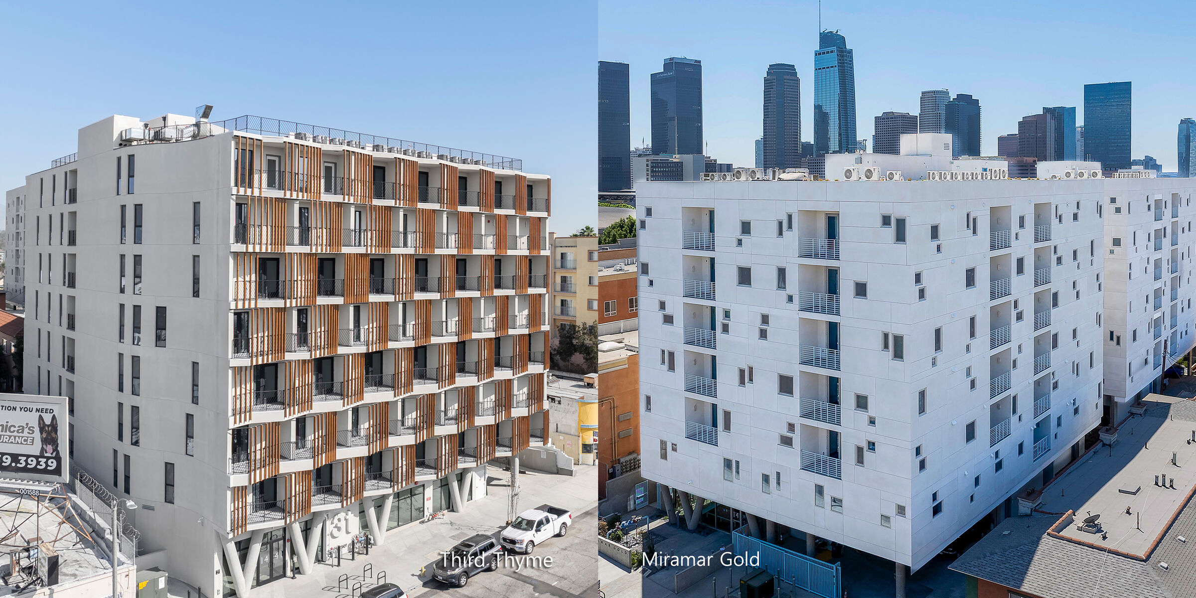 Third Thyme and Miramar Gold