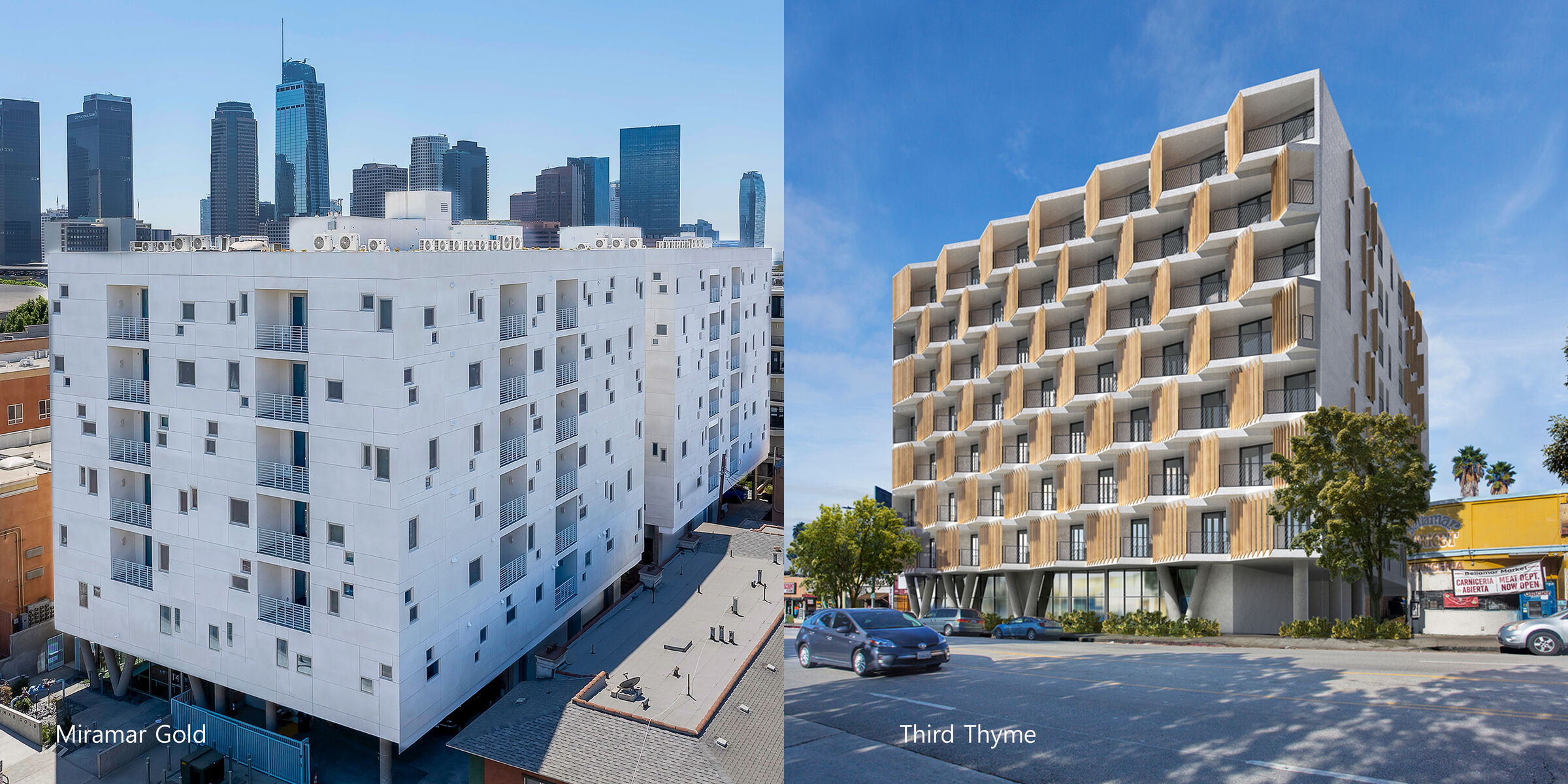 Miramar Gold and Third Thyme